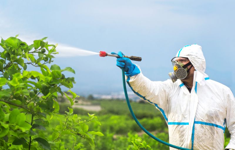 Rat Fumigation Service in Santa Fe, NM
