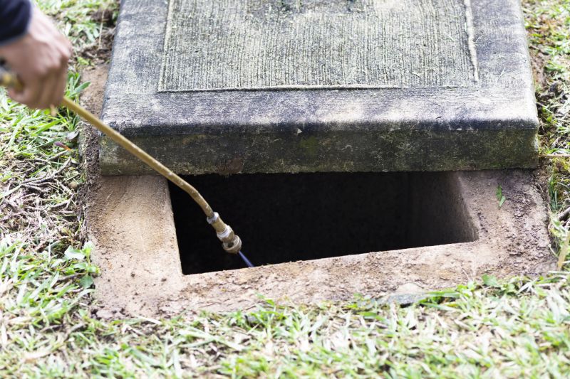 Rat Fumigation Service in Woodbridge, VA