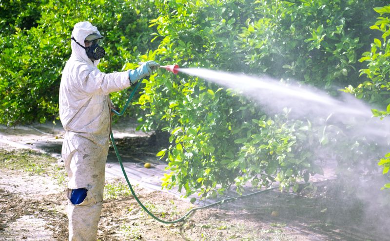 Residential Fumigation in Katy, TX