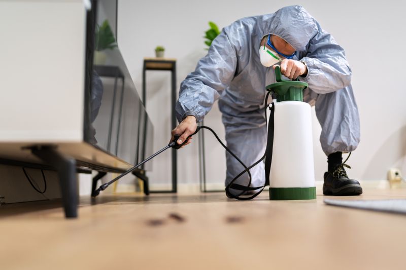 Rat Fumigation Service in Wilmington, DE